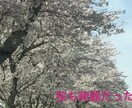 あなたの【大切な写真】を【ムービー加工】致します 携帯やスマホに写真が溜まってしまってまとめたい方にオススメ！ イメージ3