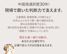 日本人通訳者が中国語ビデオチャット通訳を行います 【個人利用】業界30年のベテランがあなたの生活のお手伝い！ イメージ2