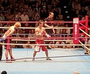 ボクシングのアドバイスをします 28歳から10ヶ月でプロとなった経験を活かし疑問に答えます イメージ4