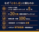 メール・SMS戦略の壁打ち相談をします 大手カード会社の社員がメール戦略を一緒に考えます イメージ3
