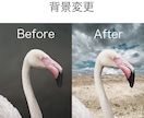 写真レタッチします 商品写真からSNSの投稿写真までなんでも承ります イメージ1