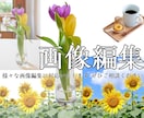 画像編集や合成いたします 様々な画像編集に対応いたします イメージ1