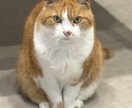 大学1年生がみなさんの悩みをたっぷり聞きます 1分でもOK！日々の鬱憤をここで晴らしましょう！ イメージ1