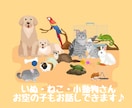 ペットちゃんの気持ち♡飼い主さんの想いを届けます 犬、猫、小動物、お空のコもOK♡アニマルコミュニケーション イメージ3