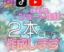 SNS用ショート動画■2本作ります 格安なのにハイクオリティと好評！！リピーター様多数！！ イメージ1