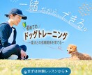 ペット専門！インスタ・SNS投稿画像制作します 動物病院やペットショップの集客に！目を惹くデザイン イメージ5
