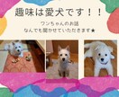 ワンちゃんのお話なら何でも喜んで聞きます 趣味は愛犬♡ストレス解消法も愛犬☆彡な私が気軽にお聞きします イメージ1