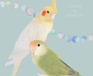 ペット(鳥)のイラスト描きます ✩お気に入りの写真をイラスト化してダウンロードデータに♪ イメージ2