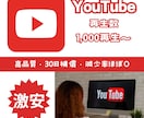 YouTubeの再生回数1000回〜宣伝します ユーチューブ拡散宣伝☆振り分け可☆ イメージ1