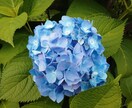 綺麗な字の手紙を書きます 誰が見ても読みやすい字の手紙を書きます。 イメージ1