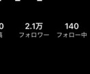 1週間でsnsフォロワー1000人増やします 商品を買ってもらいやすいアカウント作りに。【豪華特典付き】 イメージ2