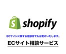 Shopifyに関するご依頼お受けいたします サービス詳細｜構築、運用支援、カスタマイズ、アドバイス等 イメージ1