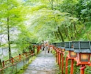 人生総合｜神職の神域霊視で不運を断ち幸運へ導きます 神託で魂の澱みを浄化し、あなたのお悩みを解明します イメージ4