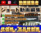 丸投げOK！ショート動画編集します 丁寧な対応でお客様一人一人に合わせた動画を作成します！ イメージ1