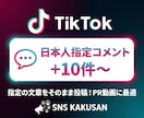 TikTok日本人指定「カスタムコメント」します ⭐️指定した文章をそのまま投稿！動画の口コミ・PRに最適 イメージ1