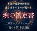 先着5名モニター！魂の本質を完全分析します 1.2万字超の大ボリューム！運命が変わり始める魂鑑定書 イメージ1
