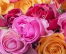 どんなお話でもお聞きいたします 愚痴や毒吐き、お悩みなどお気持ちに寄り添います。 イメージ2