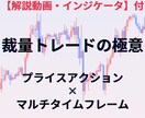 裁量トレードの極意教えます 【解説動画・オリジナルインジケータ】付ver イメージ1