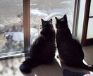 離婚前後で悩んでおられる方にアドバイスします 辛い状況下にあるときはカウンセリングは必須です イメージ1