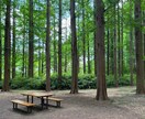 富裕層既婚・離婚女性専門、経験者がお話伺います 誰にも言えない孤独や葛藤に寄り添います イメージ1