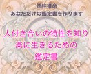 あなたの【人付き合いの特性を知る】鑑定書を作ります 理解しやすい図やタイプ鑑定で納得感の高い鑑定結果を作ります イメージ1