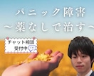 パニック障害を薬なしで克服した僕が相談に乗ります 一人で悩まないでください！　良くなるまで優しくサポートします イメージ1