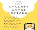 初回限定◎にゃんと的中！お悩み鑑定いたします 総実績100名さま限定！本音と現実を整え次の一歩を後押し⭐︎ イメージ4