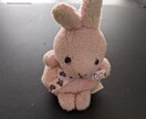 タロットで失物の行方を占います ＊なくしものみつからない時（参考の為）・・鑑定します。 イメージ1