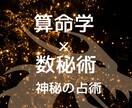 生年月日とお名前であなたの運命を占います 算命学と数秘術を掛け合わせたオリジナルの占術で占います イメージ1