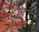 東海3県から近い旅行を計画します 旅行行きたいけど自分で調べるのが面倒な方オススメします！ イメージ1