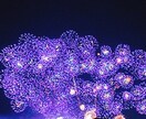 あなたの想い聞きます ひとりで悩まず相談してみませんか？ イメージ1