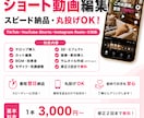 ショート動画を作成します どんなジャンルにも対応！TikTok,YouTube イメージ1