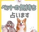 あなたのペットの心を星とカードで読みます 愛する家族の気持ちと本音を知れます イメージ1