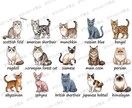 猫のイラスト1シート販売します チラシ・PR・SNS・ショップ・カード素材におすすめ イメージ2