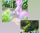 Lightroomclassic教えます Lightroomで驚くほどの仕上がりを実現する講座です！ イメージ2