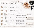 ペット用品の魅力が伝わる動画を撮影します 使用シーンやブランドイメージを映像で表現 イメージ6