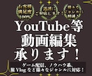 丸投げ◎ 1本¥5,000で横動画作ります 丸投げ◎テンポの良い面白い動画が得意！ イメージ1
