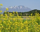 東北を代表する山・岩手山と花々の写真を提供します 東北を代表する山・岩手山と花々 イメージ2