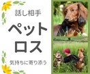 ペットロスのお悩みやペットちゃんのお話を聞きます 行き場のない悲しみや苦しみを私と一緒に癒していきませんか？ イメージ1