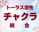 チャクラ統合&トーラス循環で光の柱を活性化します あなた本来のエネルギーラインを整え、さらなる魂の輝きへ イメージ1
