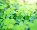 不安、モヤモヤの【気持ちの整理】お手伝いします 不安な気持ち、モヤモヤを吐き出して楽になってくださいね。 イメージ4