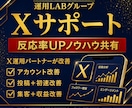 X運用パートナーが改善サポートします 診断改善7日、集客改善14日、収益改善30日(画像作成付き) イメージ1