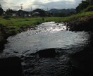 心のモヤモヤを一緒に解決します カウンセリングとスピチュアルで少しでも心を軽く前向きに、、、 イメージ1