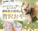 質問に答えるだけ！ライター講師がLP原稿書きます あなたのビジネスや商品には「伝えるべきストーリー」がある イメージ2