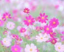 アダルトチルドレンの方＊60分優しく寄り添います 毒親育ちでお悩みの方、つらいですよね…お話お聞きします☘️ イメージ9