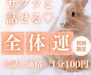 お試し♡10分でサクッと、今の運勢を総合鑑定します 【7月末まで♡初回限定】1分200円→100円｜運気・近未来 イメージ1