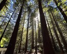 海外生活と国際恋愛のリアルを綴ります ありふれた経験を、読まれる物語に変えます イメージ2