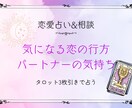 心に寄り添う✴︎タロット鑑定✴︎相談サポートします 心を包む猫タロット✴︎あなたの“今”に寄り添う優しい占い✴︎ イメージ3