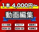 シンプルで見やすい動画編集を心掛けます Youtubeやインスタその他PR動画等の動画等 イメージ1