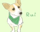うちの子が可愛すぎるのでオリジナルイラストにします ペットイラストボードの配送も可能です♡お気軽にご相談ください イメージ8